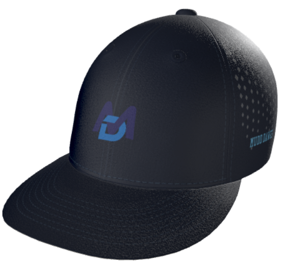 Snapback Hat