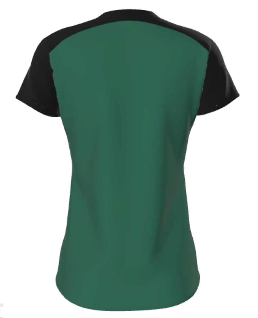 WVNeck Ladies Tshirt (Fitted)