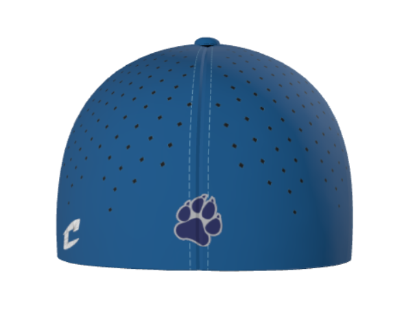 Coyotes Game Hat
