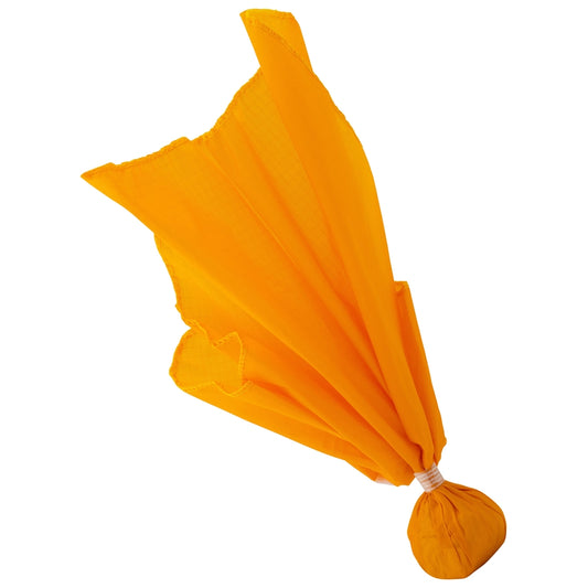 Weighted Referee Penalty Flag